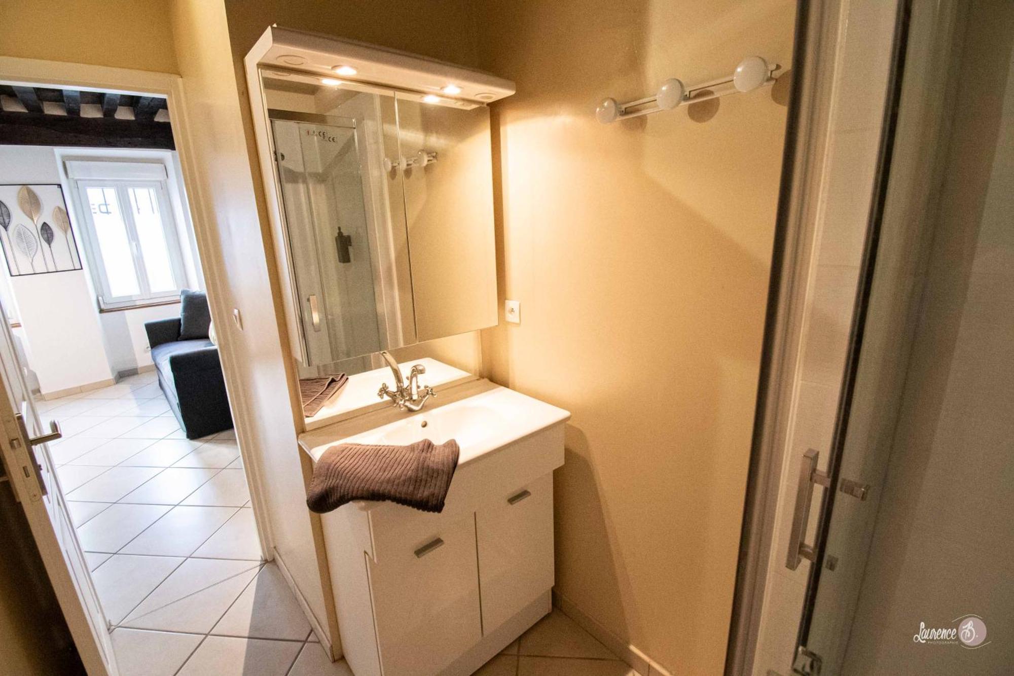 Le Zola Compose De 3 Distincts En Hyper Centre De Avec Wifi Apartment Dijon