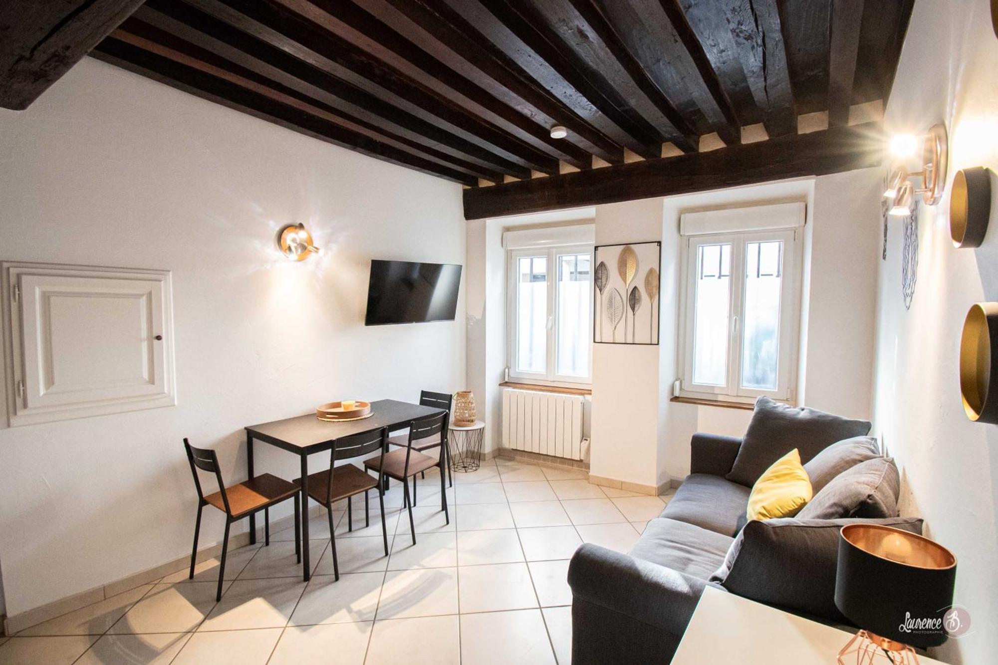 Le Zola Compose De 3 Distincts En Hyper Centre De Avec Wifi Apartment Dijon