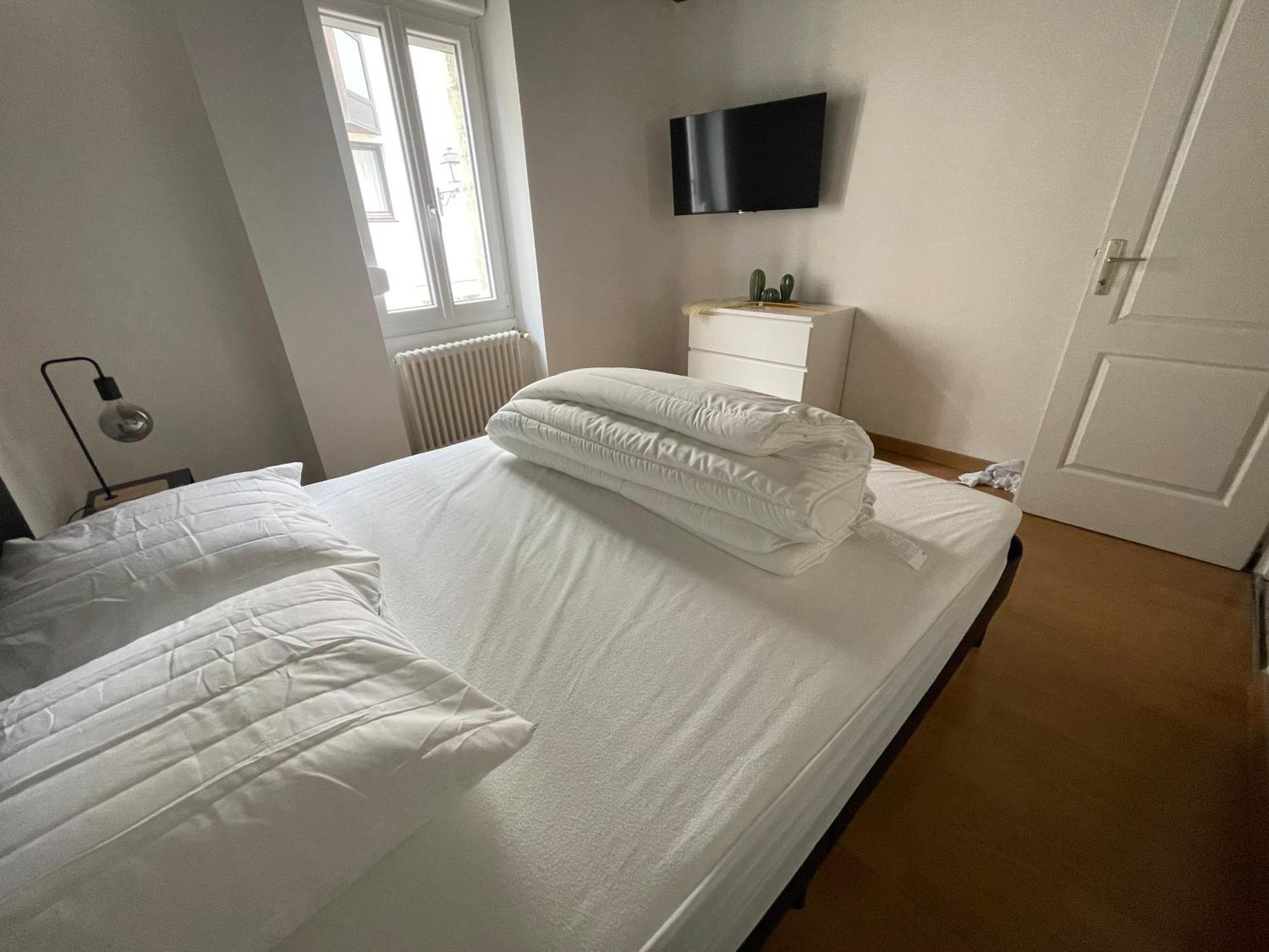Le Zola Compose De 3 Distincts En Hyper Centre De Avec Wifi Apartment Dijon